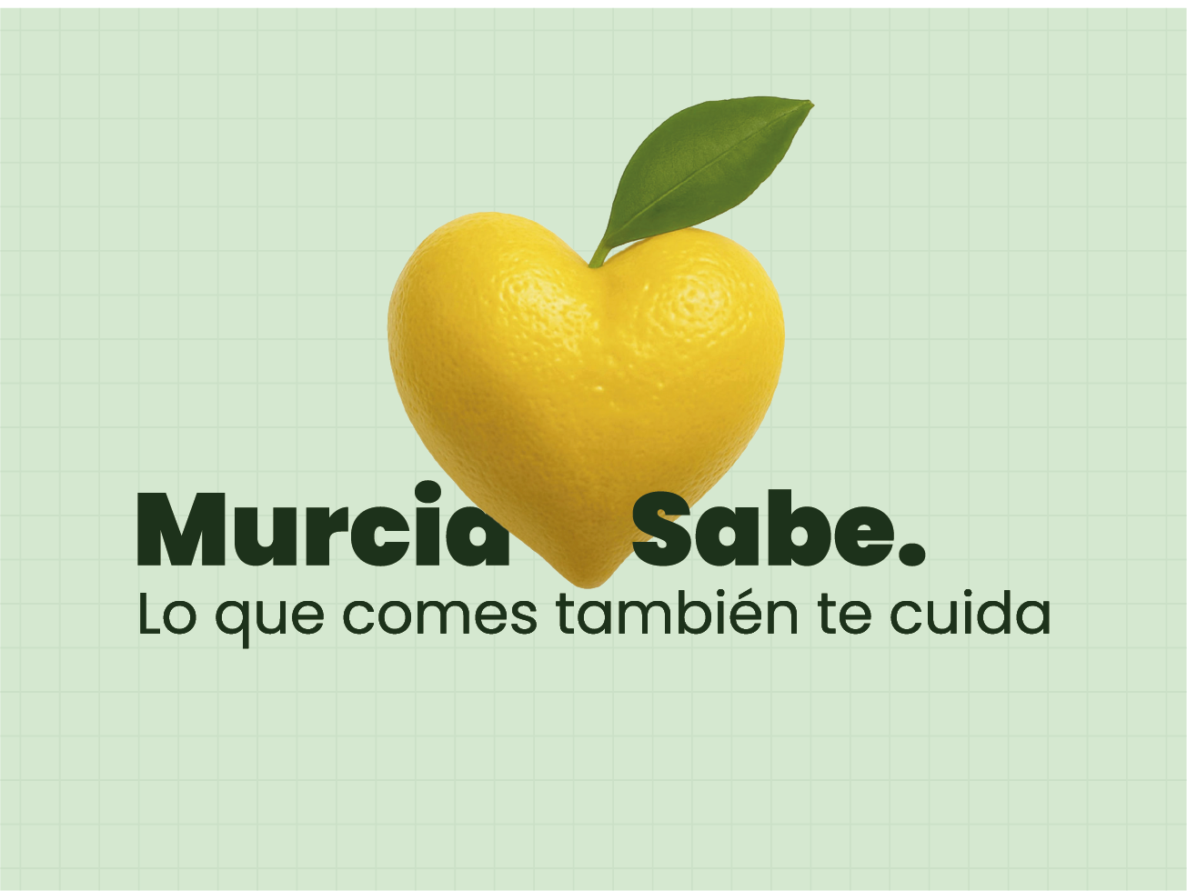 Imagen/video